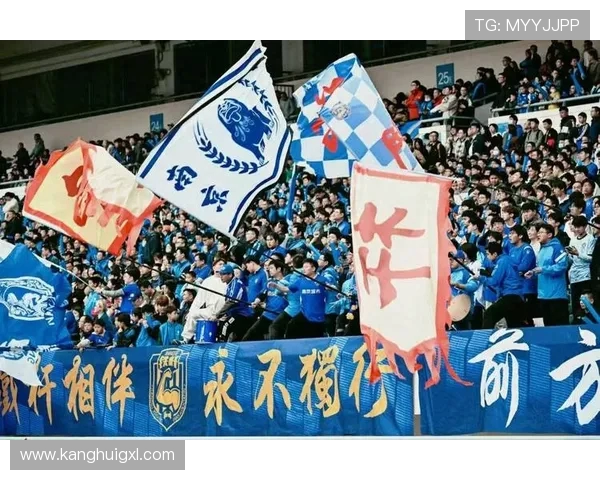 南京排球队灵活性引发热议球迷与专家各执己见探讨未来发展方向