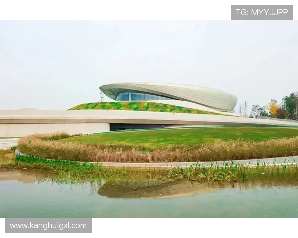 成都网球队整体压制革新之路探秘与未来展望