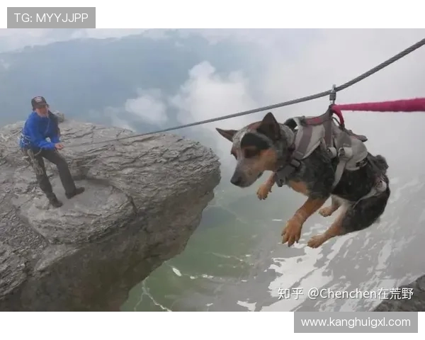 杭州攀岩队逆袭之路：从挑战到胜利的精彩旅程解析