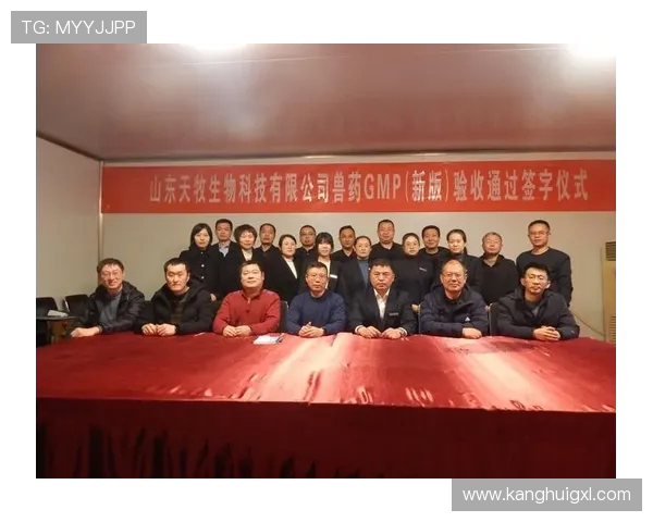 杭州羽毛球队的崛起之路与杯赛背后的奋斗与荣耀