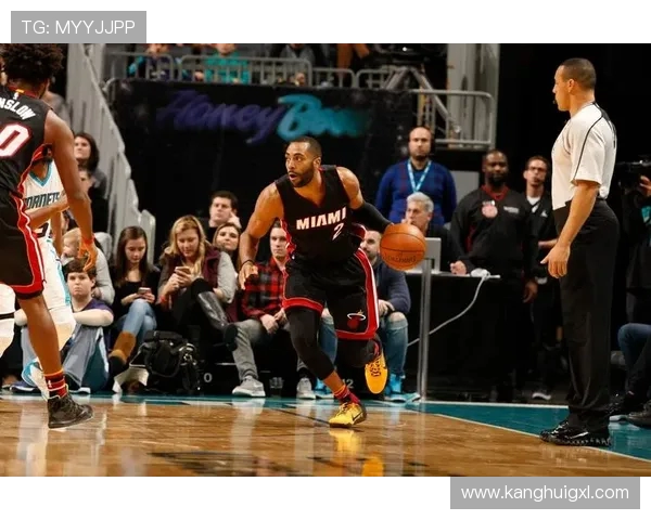 2015至2016赛季热火与黄蜂精彩对决回顾与分析