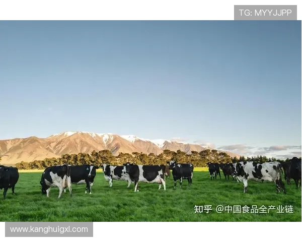 朱荣振:从地方经济发展到国家政策创新的引领者与实践者 朱荣振:从地方经济发展到国家政策创新的引领者与实践者