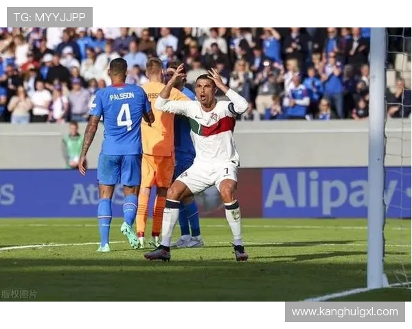 葡萄牙与冰岛激战正酣双方球员奋力拼搏争夺胜利 葡萄牙与冰岛激战正酣双方球员奋力拼搏争夺胜利