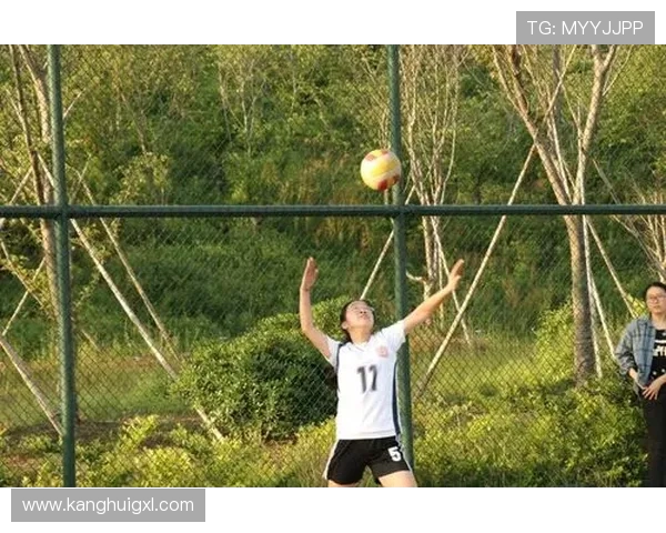 陈丽专访：揭秘排球界的成功秘诀与背后故事