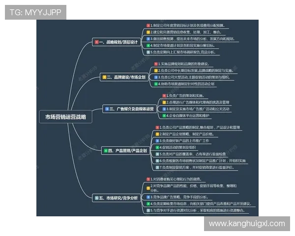 深入分析上海排球队的运营策略与市场推广模式