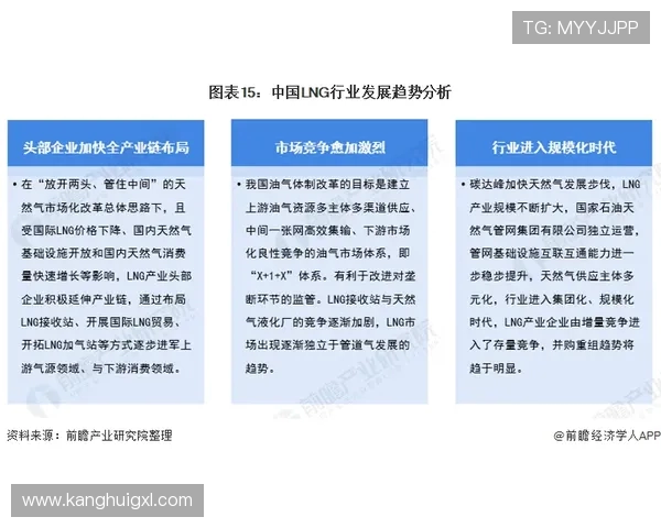 LNG在CSGO比赛中的反击策略分析与得失总结