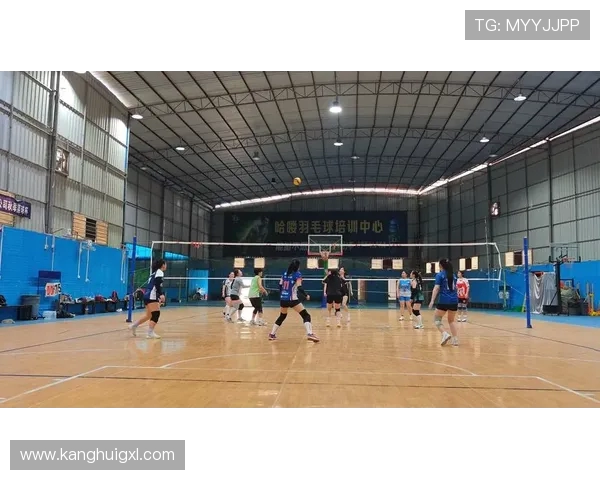 上海排球队比赛经验探讨与分析聚焦排球竞技的成长与挑战