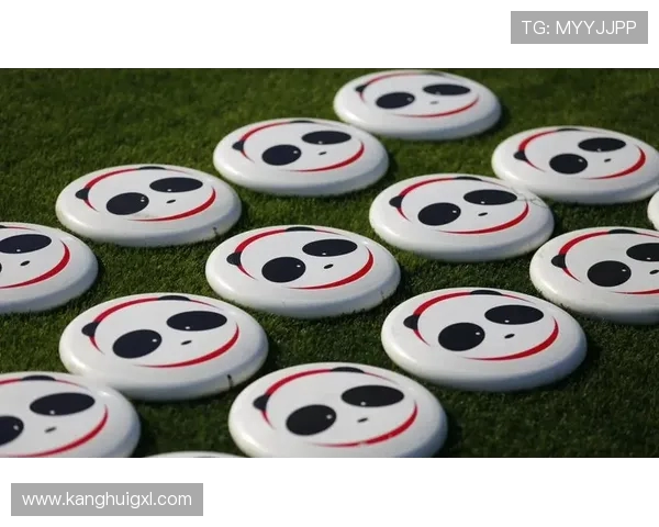 成都飞盘队运营体系探析与战术创新研究